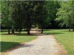 Gravel site with grass and trees at Camping World-Campground of Oxford - thumbnail