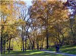 View larger image of A couple walking on a path through some trees at BLOWING SPRINGS RV PARK image #1