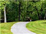A paved walking path in a grassy area at BLOWING SPRINGS RV PARK - thumbnail
