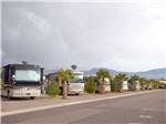 View larger image of Motorhomes in back-in sites with palm trees at SUN RESORTS RV PARK image #10