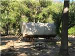 A covered wagon rental at FRANDY PARK CAMPGROUND - thumbnail