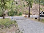 One of the paved RV sites at CRYSTAL GOLD MINE & RV PARK - thumbnail