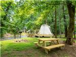 A tenting platform by the creek at TRIPLE CREEK CAMPGROUND - thumbnail