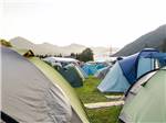 View larger image of A large group of tents in a field at FARM COUNTRY CAMPGROUND image #9