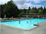 People swimming in pool at THOUSAND TRAILS CULTUS LAKE - thumbnail