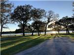 Gravel sites with fire pits and benches at BRACKENRIDGE RECREATION COMPLEX-TEXANA PARK & CAMPGROUND - thumbnail