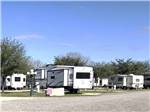 View larger image of A row of paved campsites at ALAMO RIVER RANCH RV PARK image #3