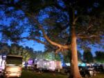Parked RV's and trailers at site Gotta Getaway RV Park - thumbnail
