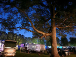 Shady sites at night Gotta Getaway RV Park - thumbnail