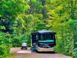 View larger image of A motorhome and golf cart backed in at a site at MOOSE HILLOCK CAMPING RESORT NY image #9