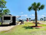 An RV parked in a site with palm trees - thumbnail