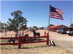 Landscaped area with US flag near entrance at WILD WEST RV PARK - thumbnail