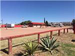 Plants and a wooden fence near main building at WILD WEST RV PARK - thumbnail