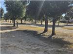 A shaded RV site - thumbnail