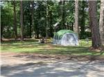 A grassy RV site with a bench at LAKE EUFAULA CAMPGROUND - thumbnail