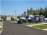 The road leading to RV sites at NORTH SPOKANE RV CAMPGROUND - thumbnail