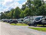 Row of fifth-wheels and travel trailers at SWEETWATER CREEK RV RESERVE - thumbnail