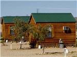 A row of rental cabins at MEADVIEW RV PARK & COZY CABINS - thumbnail