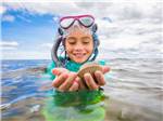 View larger image of A kid snorkeling holding a seashell at DISCOVER CRYSTAL RIVER image #5