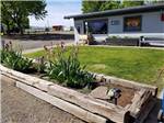 The planter in front of the office at WILD GOOSE MEADOWS RV PARK - thumbnail
