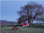 A picnic table and a tent under a tree at WILD GOOSE MEADOWS RV PARK - thumbnail