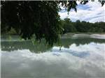A closer view of the river at TREE CABINS RV RESORT - thumbnail
