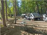 View larger image of A group of RVs under trees at BEACH CAMPING AREA image #1