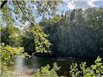 View larger image of A view of the river nearby at BEACH CAMPING AREA image #7
