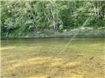 View larger image of On the shore of the tranquil river at BEACH CAMPING AREA image #11