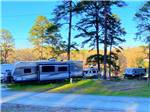 View larger image of Road leading to RV campsites at COBBLE HILL CAMPGROUND image #6