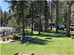 View larger image of Trees surrounding RV sites at ROLLINS RV PARK  RESTAURANT image #3