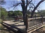 A tree surrounded by a deck overlooking the water at RIVERSIDE PARK RV - thumbnail