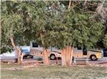 A group of trees by an RV site at WORLAND RV PARK AND CAMPGROUND - thumbnail