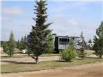 A line of trees between RV sites at RENDEZ VOUS RV PARK & STORAGE - thumbnail