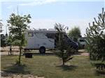 A group of trees and a picnic table at RENDEZ VOUS RV PARK & STORAGE - thumbnail