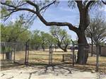 The fenced in pet area at CONCHO PEARL RV ESTATES - thumbnail