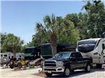 Sites with palm trees at All About Relaxing RV Park - thumbnail