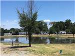 View larger image of RV sites overlooking the lake at TYLER OAKS RV RESORT image #10