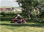 Tent area under shade tree with picnic table at SLEEPING WOLF CAMPGROUND & RV PARK - thumbnail