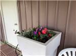 Flower pot with colorful blooms at SLEEPING WOLF CAMPGROUND & RV PARK - thumbnail