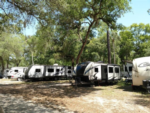 RVs in grass sites - thumbnail