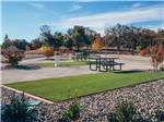 View larger image of Campground with picnic tables at THE RV PARK AT BLACK OAK CASINO RESORT image #7