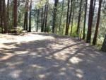 Open RV space at site Sumpter RV Park - thumbnail
