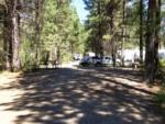 RV's Parked at Sumpter RV Park - thumbnail