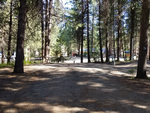 Shady sites Sumpter RV Park - thumbnail