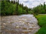 The flowing river surrounded by trees at RANCH HOUSE LODGE & RV CAMPING - thumbnail