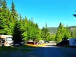 RV sites nestled in the tall pines at Camp Coeur d'Alene - thumbnail