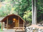 Cabin at site Camp Coeur dAlene - thumbnail