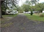 The road going thru the campground at OKEFENOKEE PASTIMES CABINS & CAMPGROUND - thumbnail