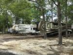 A row of trailers parked in sites at OKEFENOKEE PASTIMES CABINS & CAMPGROUND - thumbnail